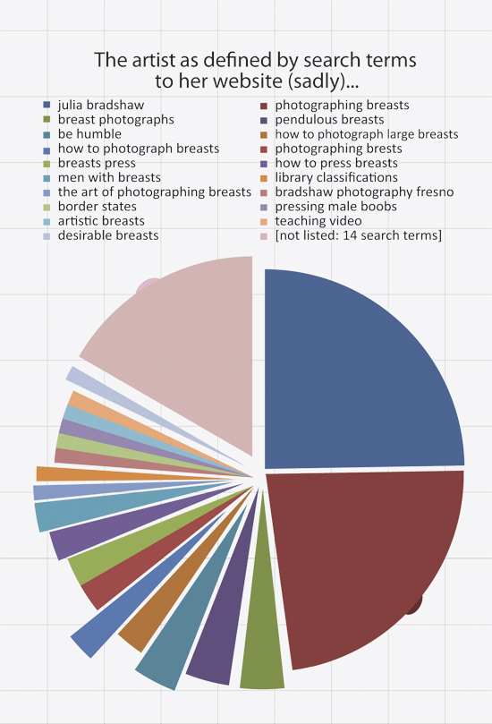 Pie Chart of serach terms to Julia Bradshaw's website September- October 2010
